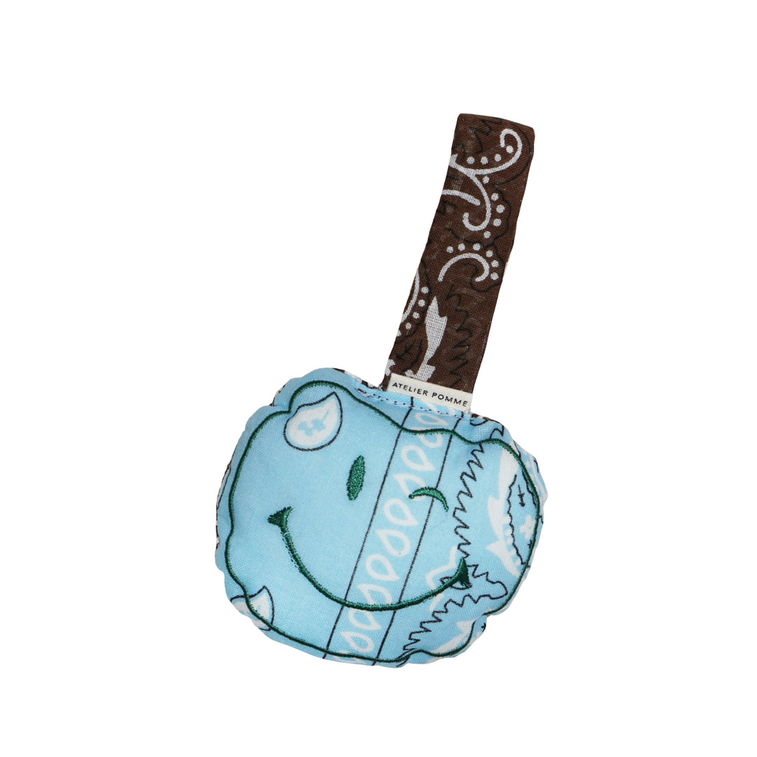 Apple of my Eye Pacifier Cuddle Bandana Blue