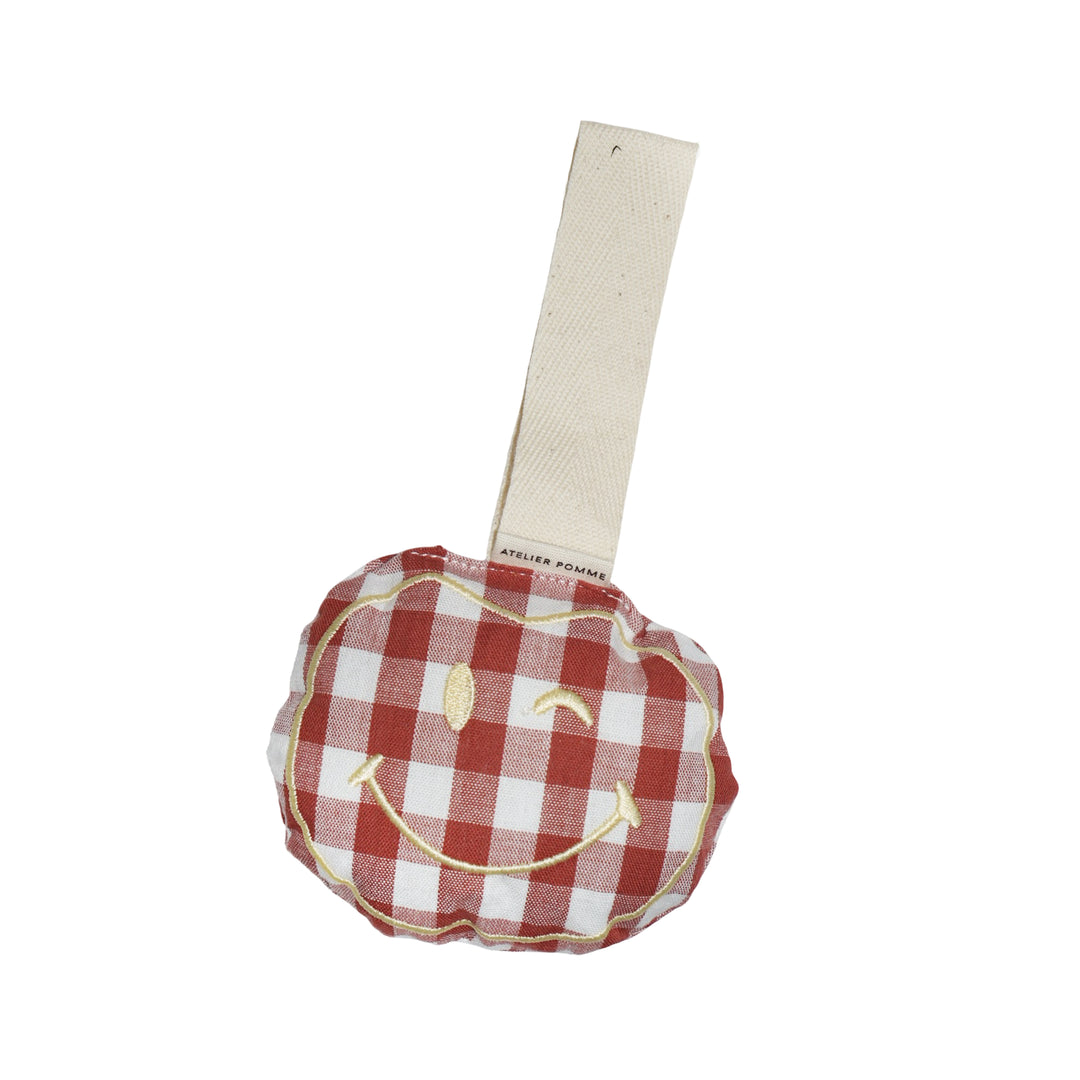 Apple of my Eye Pacifier Cuddle Brique Check