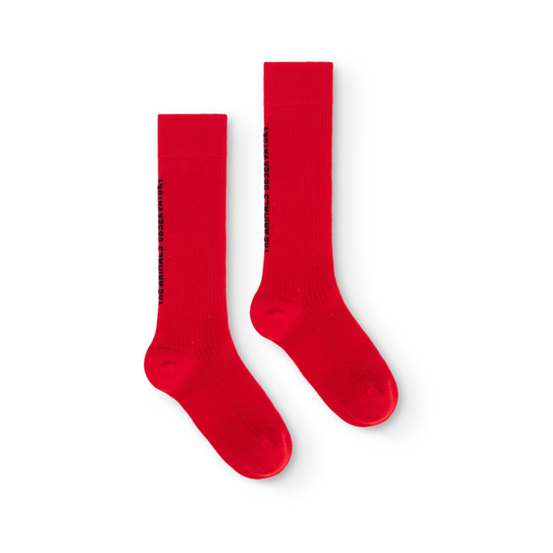 The Animals Observatory Worm Kids Socks Red