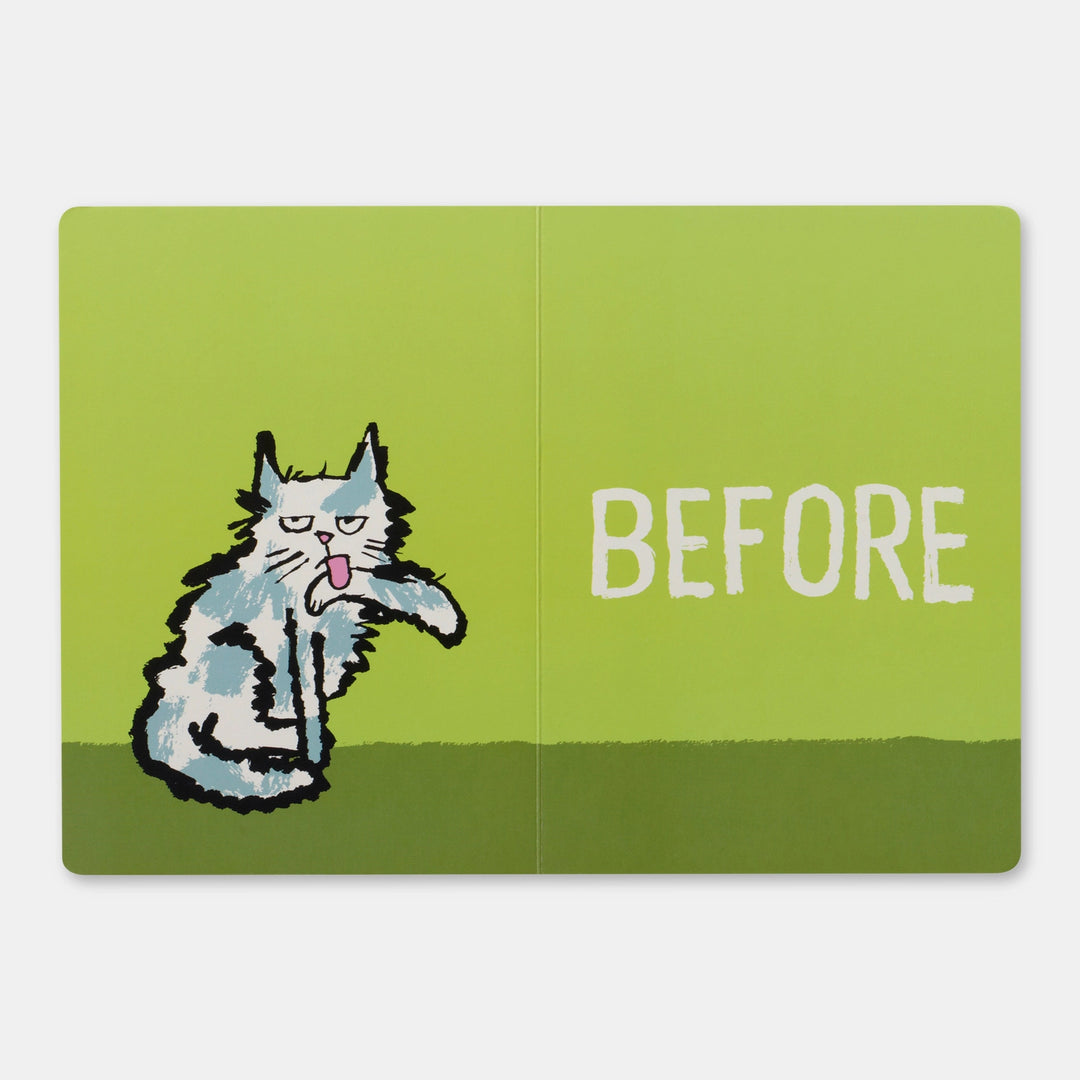 Before & After Graphic Book
