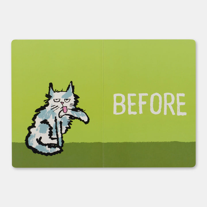 Before & After Graphic Book