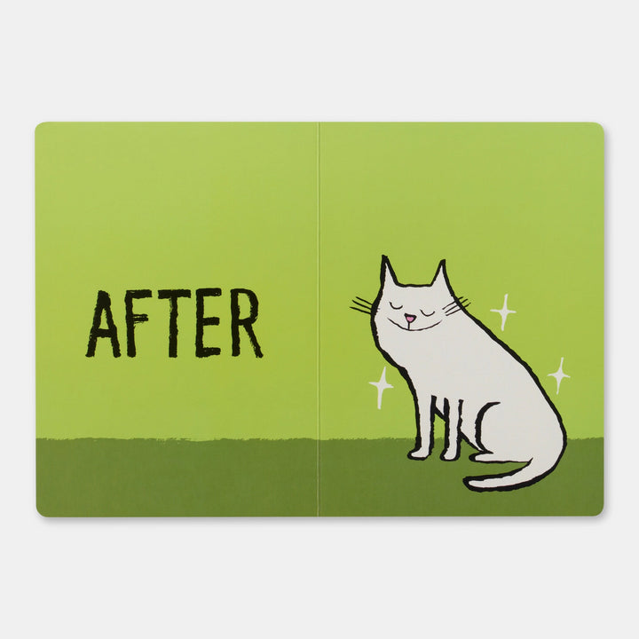 Before & After Graphic Book
