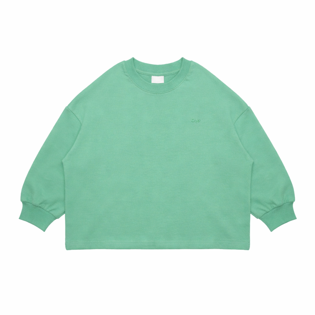 Crewneck Long Sleeve Shirt - More Colors
