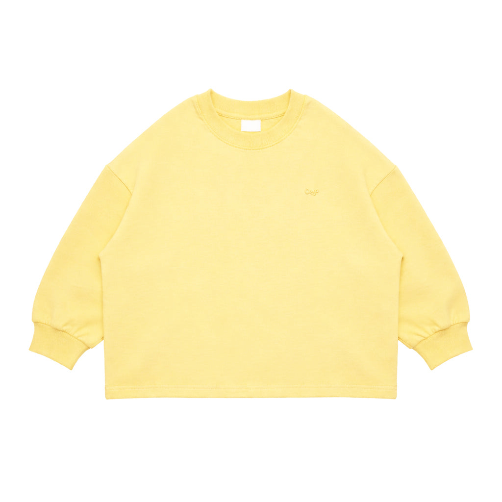 Crewneck Long Sleeve Shirt - More Colors