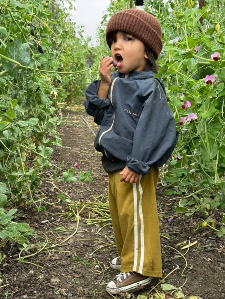 Ziggy Zaza Kaze Windbreaker Dusk