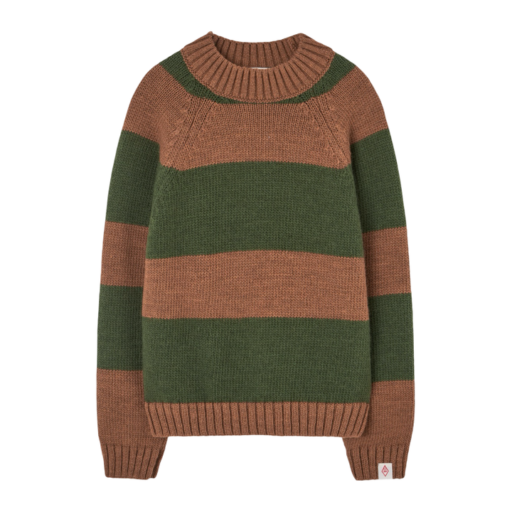 The Animals Observatory Boxfish Wool Kids Sweater Green Stripe