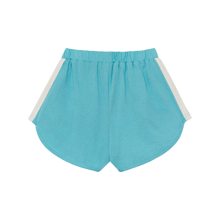 The Campamento Blue Bands Shorts