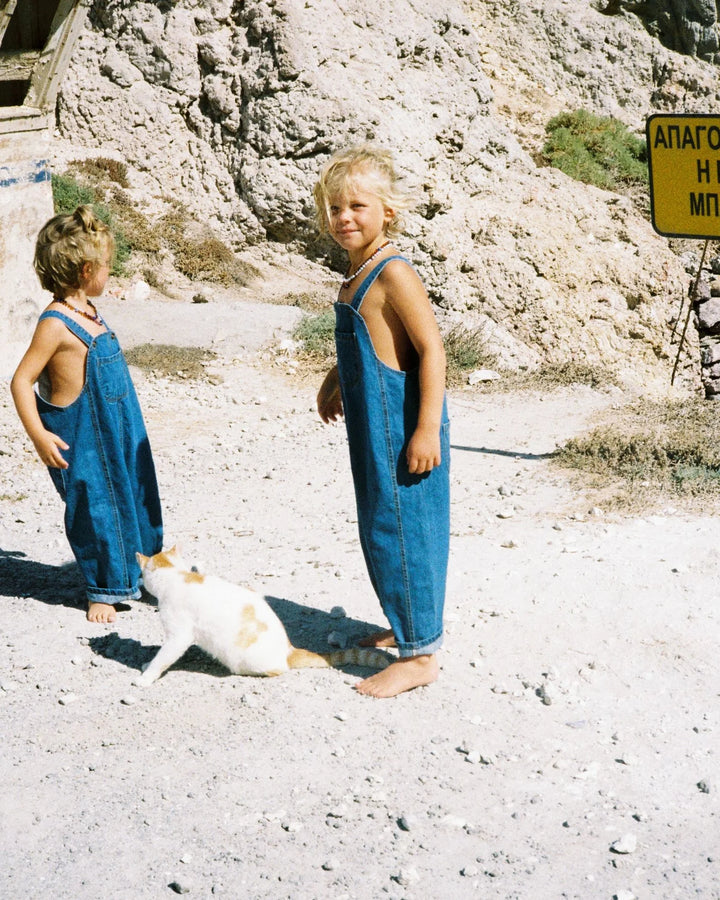 Ziggy Zaza Cassius Denim Overalls